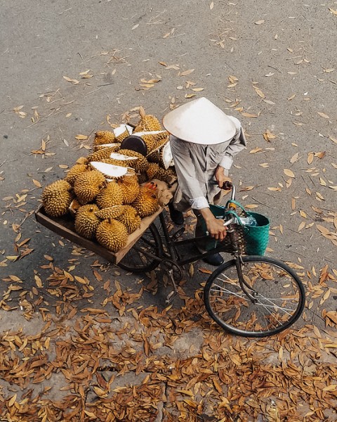 기섭신탐혁디 | 겟몰 쇼핑몰솔루션 디자인 파이브3